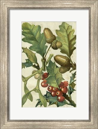 Framed Fruits &amp; Foliage II Print