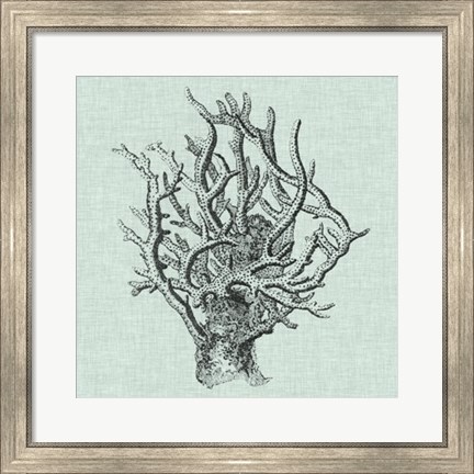 Framed Serene Coral II Print