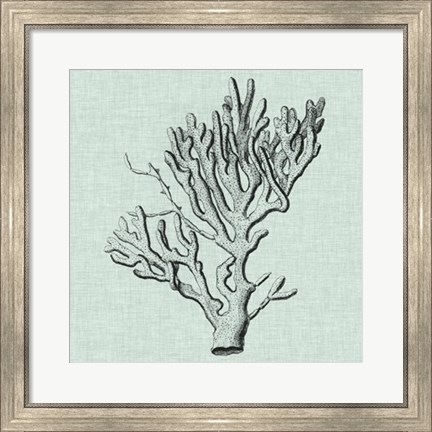 Framed Serene Coral III Print
