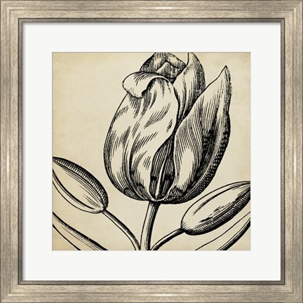 Framed Graphic Floral VI Print