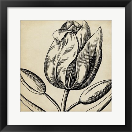 Framed Graphic Floral VI Print