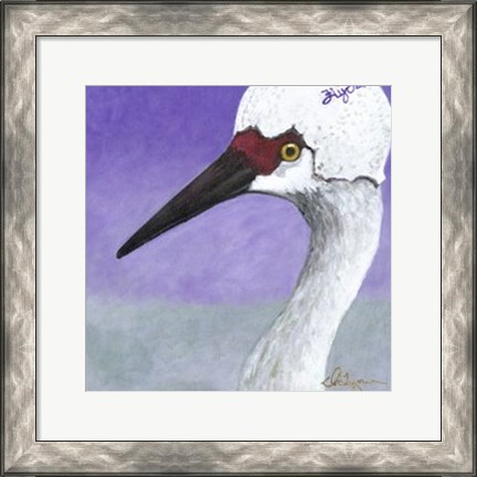 Framed You Silly Bird - Abbe Print