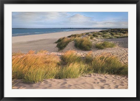 Framed Sandy Shores Print