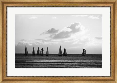 Framed Group of Sailboats Sailing in the Sea Print