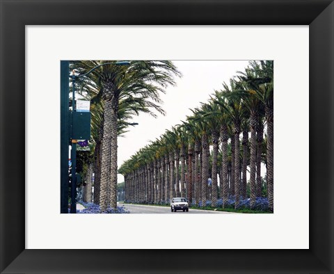 Framed Anaheim, CA Print