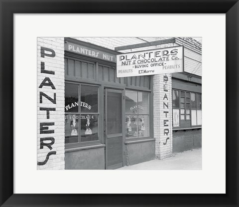 Framed Peanut Buying Office in Enfield, North Carolina Print