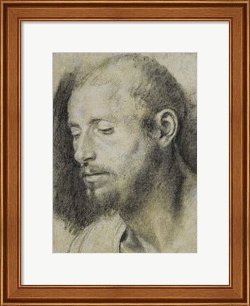 Framed Study of the Head of a Bearded Man Print