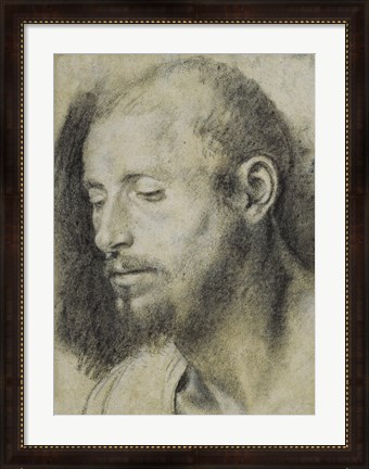 Framed Study of the Head of a Bearded Man Print