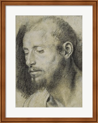 Framed Study of the Head of a Bearded Man Print