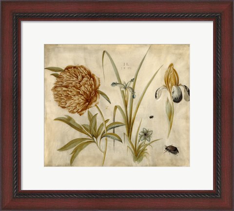 Framed Flowers and Beetles Print
