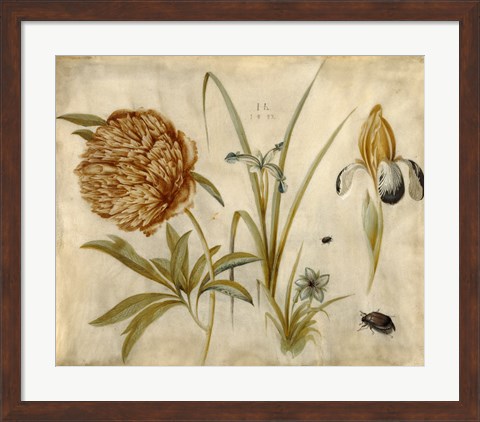 Framed Flowers and Beetles Print