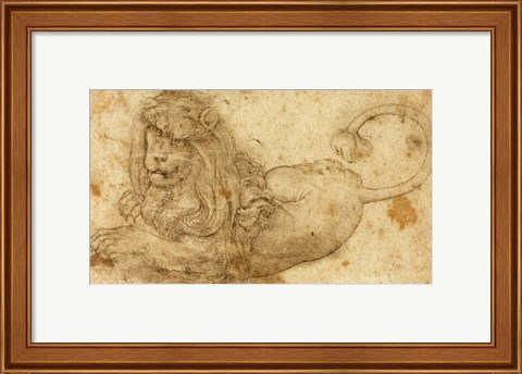 Framed Study of a Lion Print