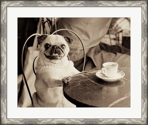 Framed Cafe Pug Print