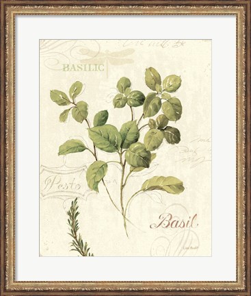 Framed Aromatique III Print