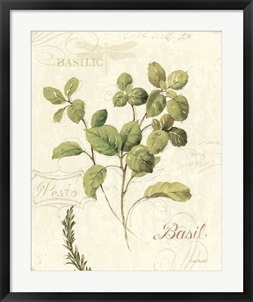 Framed Aromatique III Print