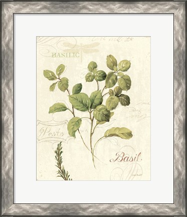 Framed Aromatique III Print