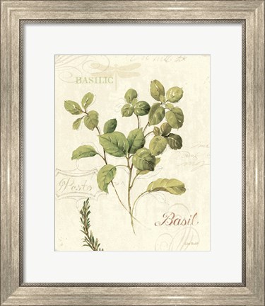 Framed Aromatique III Print