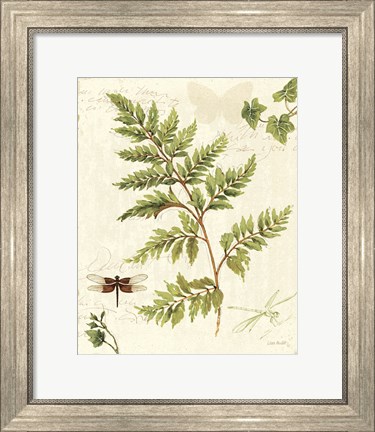 Framed Ivies and Ferns I Print