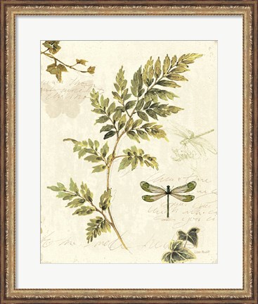 Framed Ivies and Ferns III Print