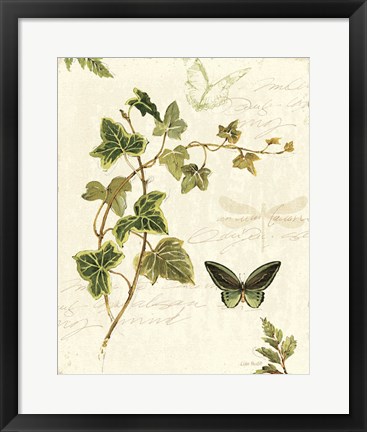 Framed Ivies and Ferns IV Print