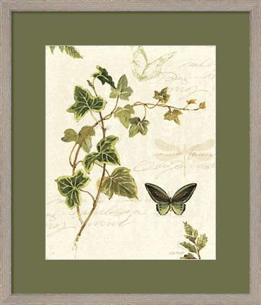 Framed Ivies and Ferns IV Print