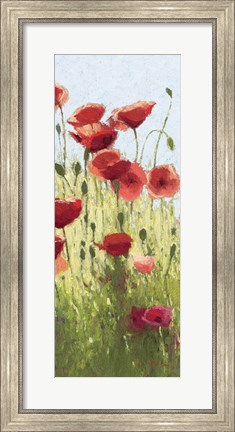 Framed Mountain Poppies I Print