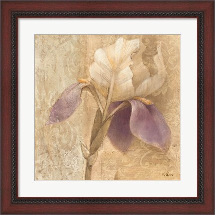 Framed Brocade Iris Print