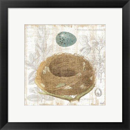 Framed Botanical Nest III Print