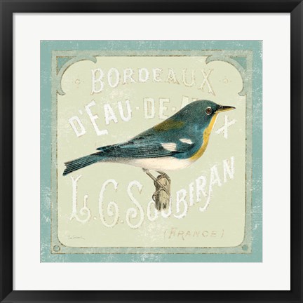 Framed Parisian Bird I Print