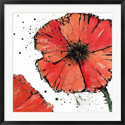 Framed Not a California Poppy on White IV Print