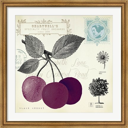 Framed Cherry Notes Print