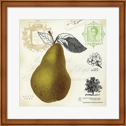 Framed Pear Notes Print
