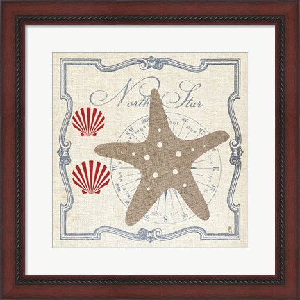 Framed Pacific Starfish Print