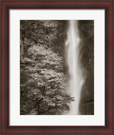 Framed Multnomah Falls Print