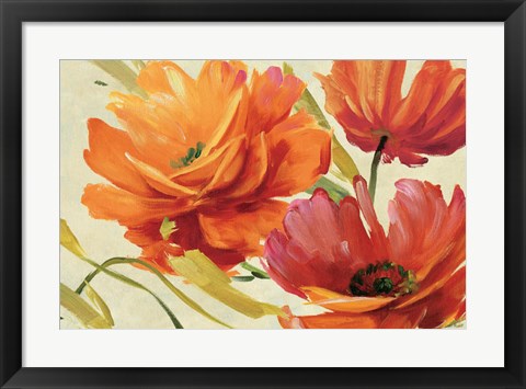 Framed Flamboyant III Print