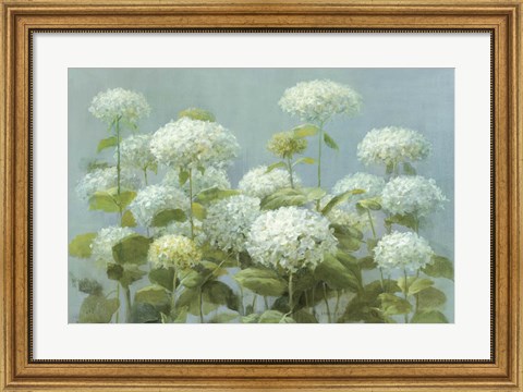 Framed White Hydrangea Garden Print