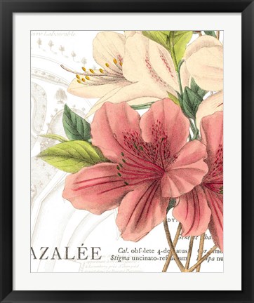 Framed Azalee Jardin I Print