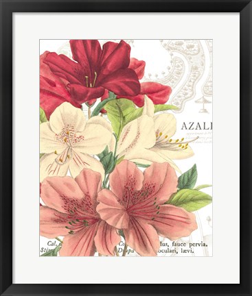Framed Azalee Jardin II Print
