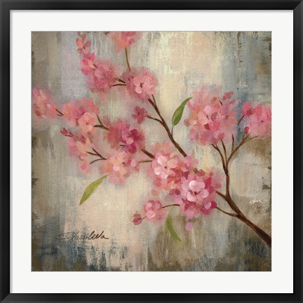 Framed Cherry Blossom II Print