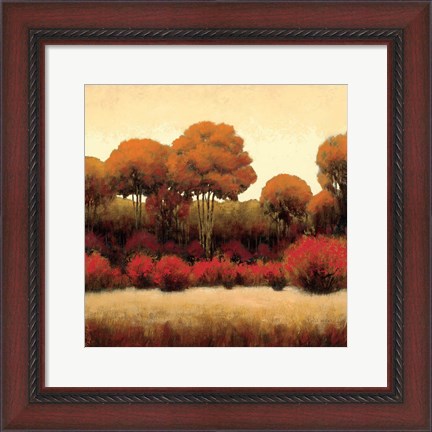 Framed Autumn Forest II Print