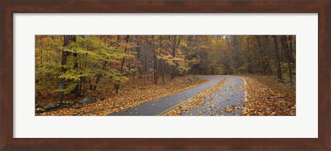 Framed Road passing through autumn forest, Great Smoky Mountains National Park, Cherokee, North Carolina, USA Print