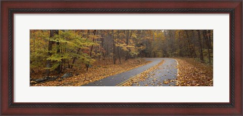 Framed Road passing through autumn forest, Great Smoky Mountains National Park, Cherokee, North Carolina, USA Print