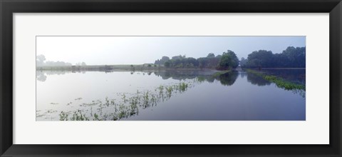 Framed Standing floodwater, Mississippi River, Illinois, USA Print