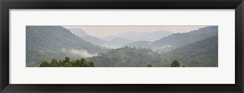 Framed Forest with mountain range, Bwindi Impenetrable Forest, Bwindi Impenetrable National Park, Uganda Print