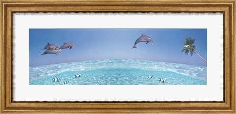Framed Dolphins Leaping In Air Print