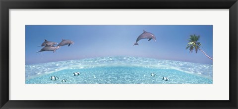 Framed Dolphins Leaping In Air Print