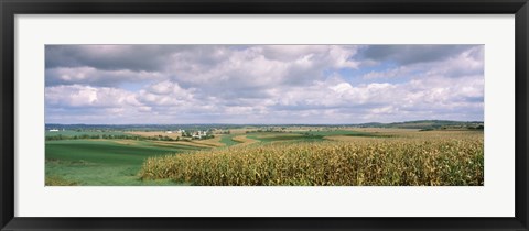 Framed Corn and Alfalfa Fields, Wisconsin Print