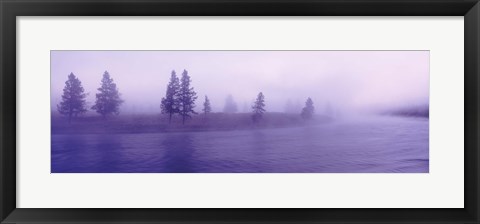 Framed USA, Wyoming, View of trees lining a misty river Print