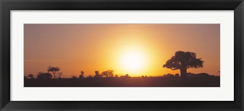 Framed Sunset, Tarangire, Tanzania, Africa Print