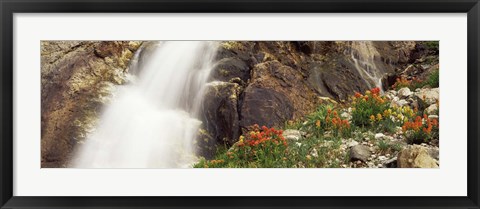 Framed Spalding Falls Grand Teton National Park WY Print